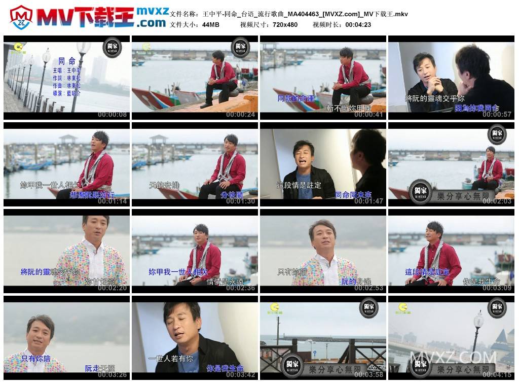 王中平-同命_台语_流行歌曲_MA404463